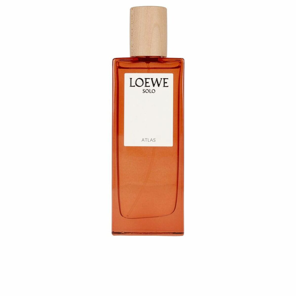 Men's Perfume Loewe Solo Atlas EDP (50 ml) - Subliem