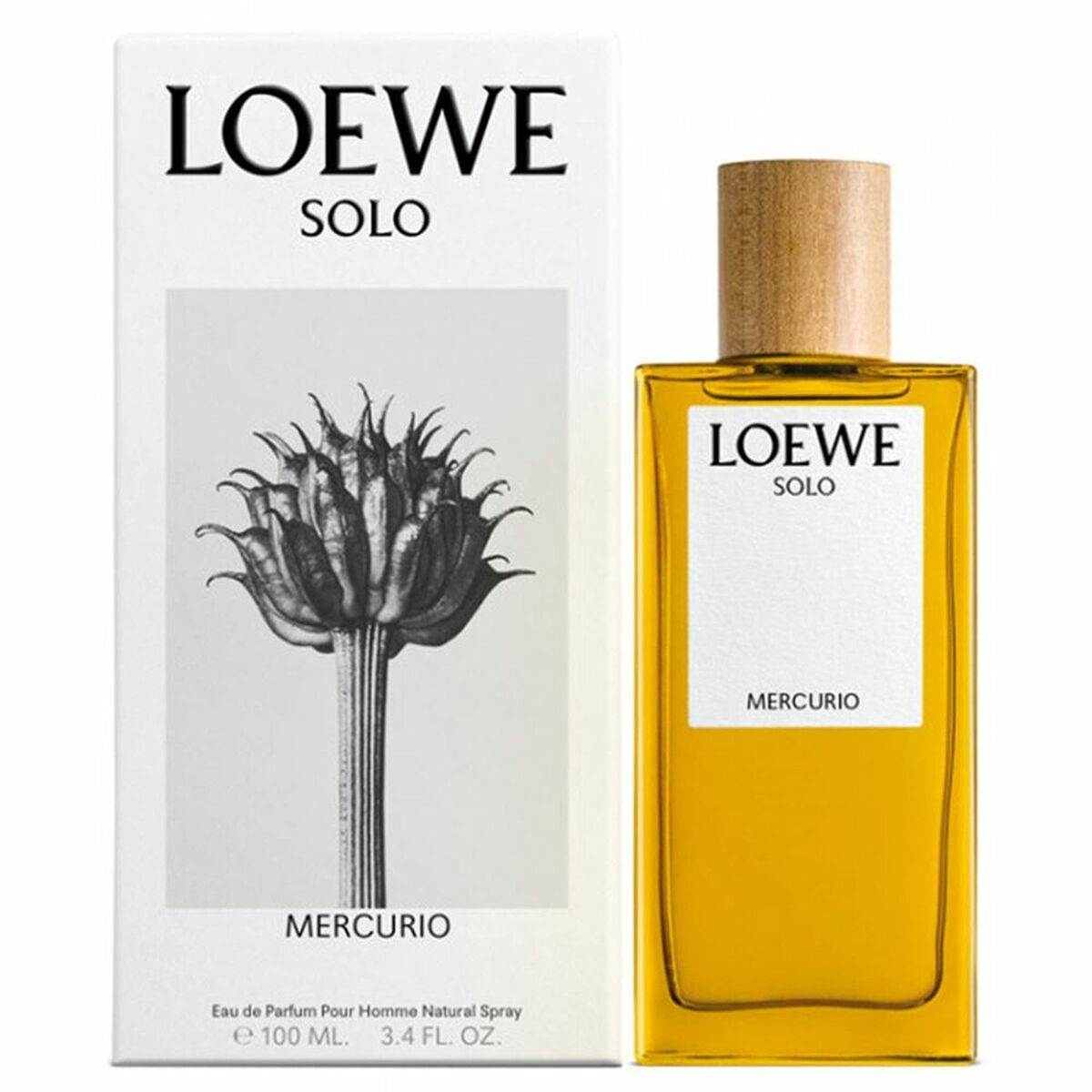 Men's Perfume Loewe Solo Mercurio EDP (100 ml) - Subliem