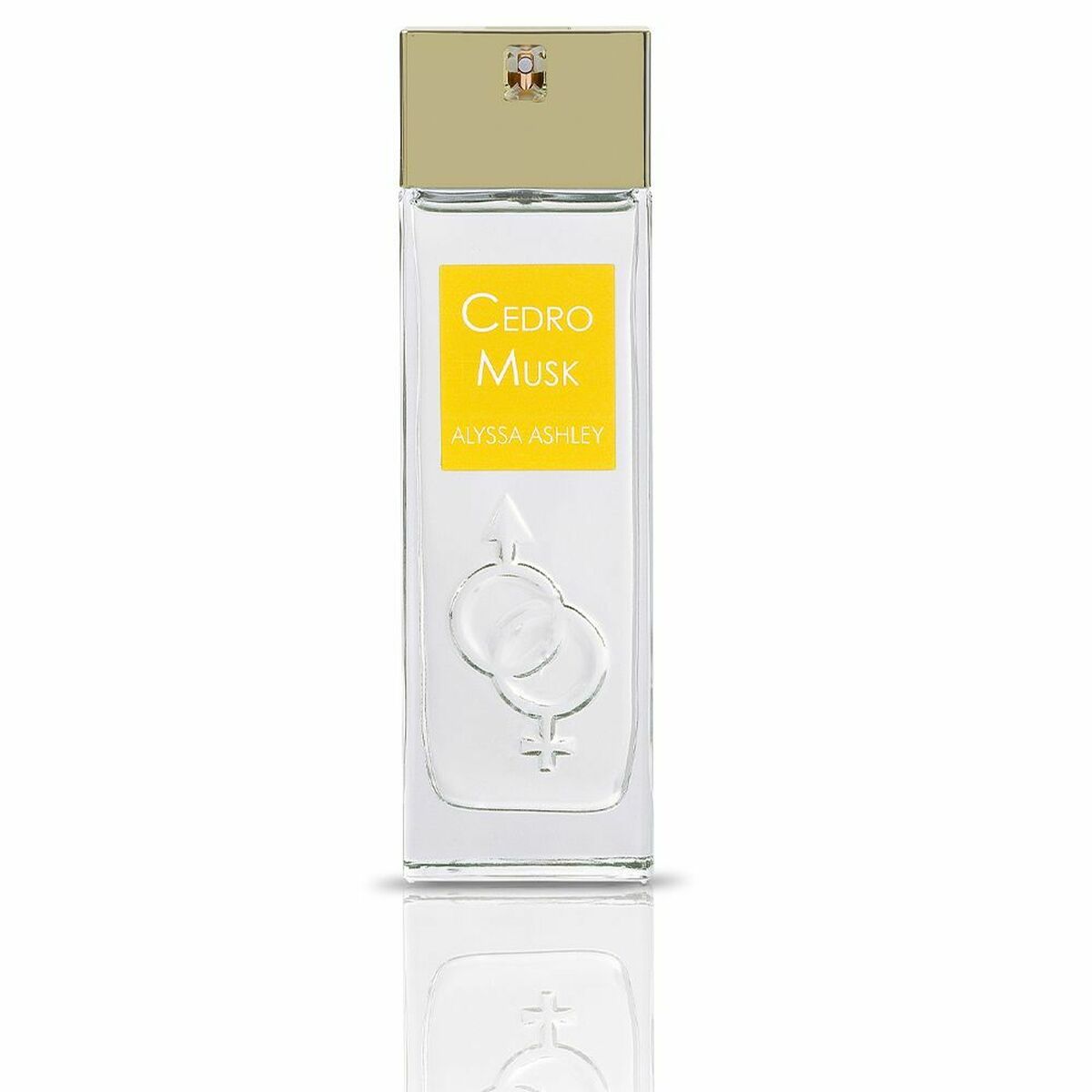 Unisex Perfume Alyssa Ashley Cedro Musk EDP Cedro Musk 100 ml - Subliem